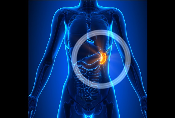 What Causes Splenomegaly Disease? Know the Symptoms and Treatment