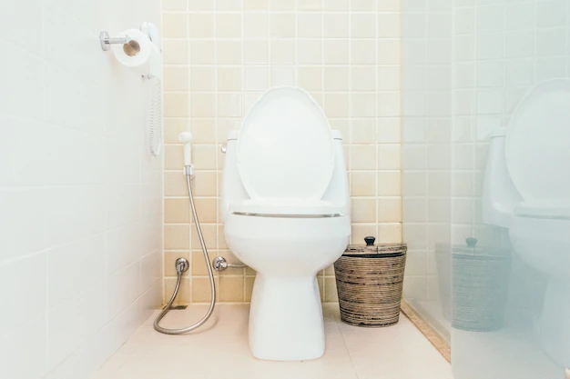 <strong>What do you need to Know About Japanese Toilets?</strong>